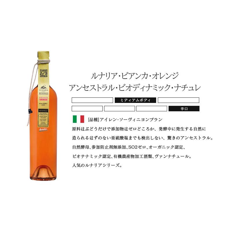 あすつく 送料無料 自然派 ナチュール オレンジワインセット 第1 あすつく 送料無料 自然派 ナチュール オレンジワインセット 第1