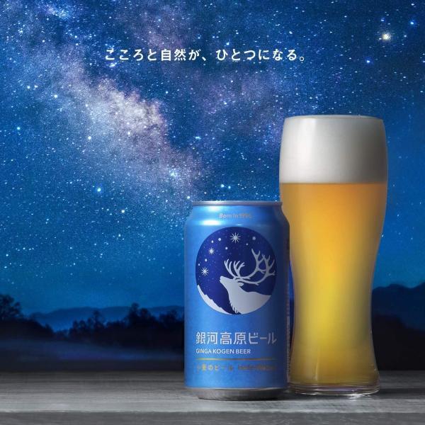 銀河高原ビール 小麦のビール 350ml×1ケース/24本 本州(一部地域を除く 