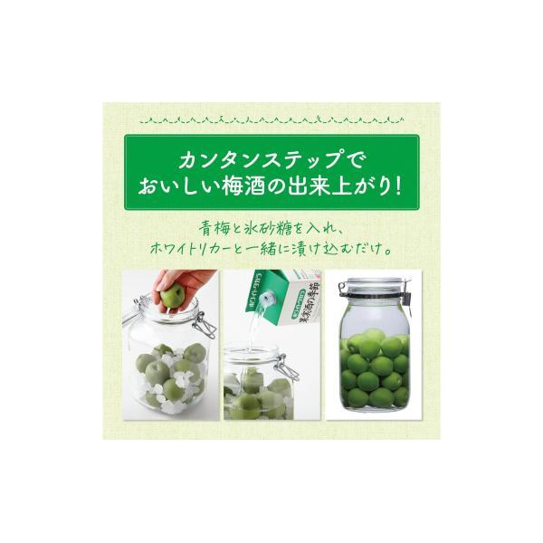 宝酒造 送料無料 ホワイトタカラ 果実酒の季節 35度 紙パック 1800ml