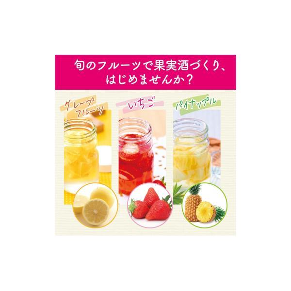 宝酒造 送料無料 ホワイトタカラ 果実酒の季節 35度 紙パック 1800ml