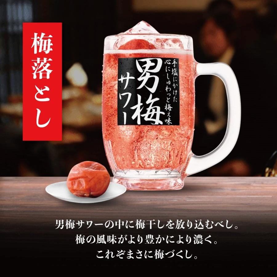 サッポロ 男梅サワー あすつく 送料無料 男梅サワーの素 20度 500ml×6