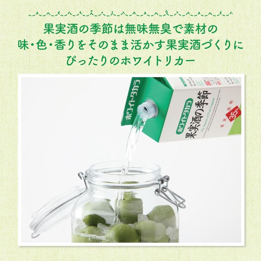 宝酒造 ホワイトタカラ 果実酒の季節 35度 紙パック 900ml 1本