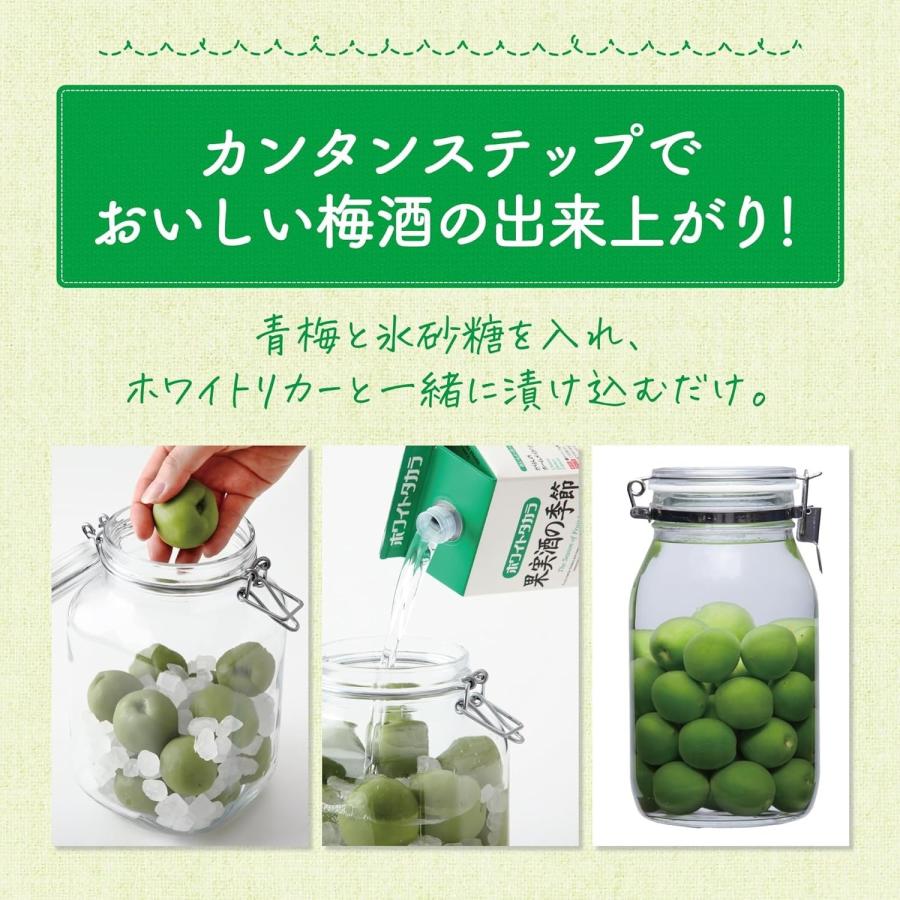 宝酒造 ホワイトタカラ 果実酒の季節 35度 紙パック 900ml 1本