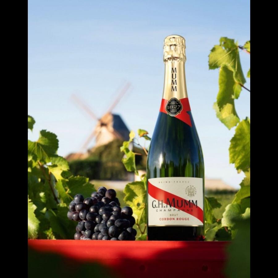 G.H.MUMM 送料無料 マム コルドン ルージュ 750ml×6本 箱入