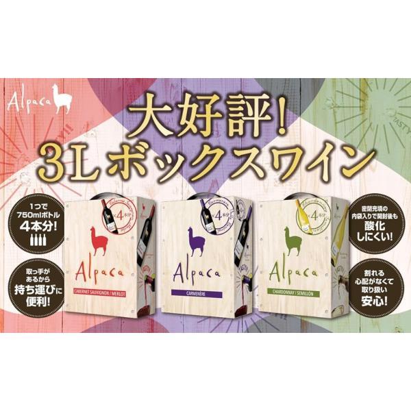 Alpaca 1/29頃順次発送 送料無料 BOXワイン BIB 箱ワイン サンタ