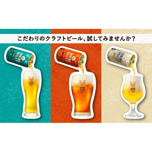 キリン（KIRIN） あすつく 送料無料 クラフトビール SPRING VALLEY