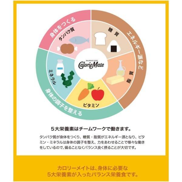 大塚製薬 カロリーメイト リキッド カフェオレ味 200ml×2ケース/60本 【スコール】