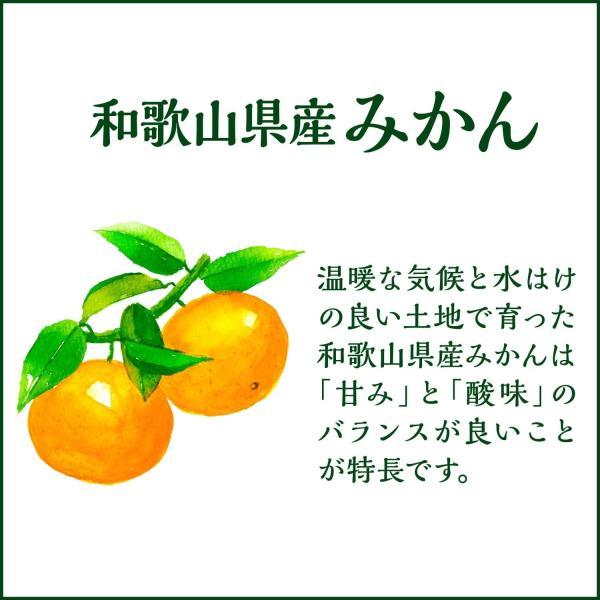 ゼリーさん専用 伊藤園（ITO EN） 送料無料 ニッポンエール和歌山県産みかんゼリー PET