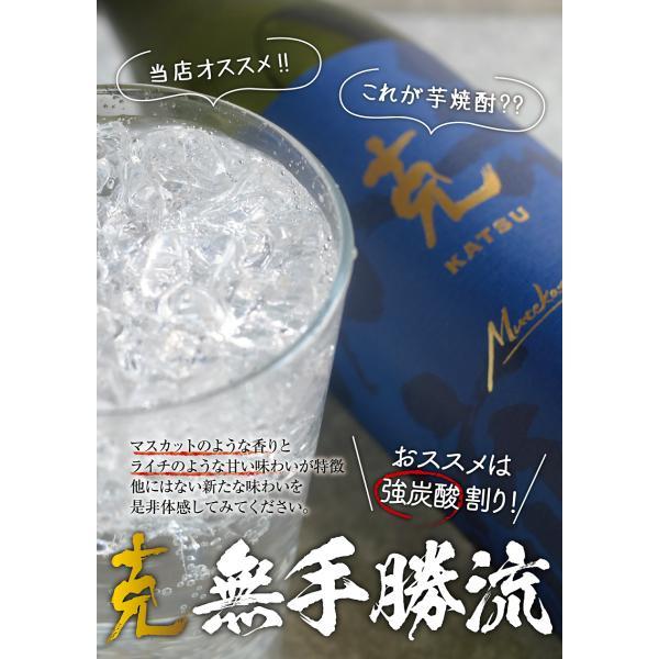 東酒造 - 貨物輸送無料 強い酒 克 新 無手勝流 かつ しん むてかつりゅう 25度 900ml 6本ご申し付けるは12本まで同梱能力のある