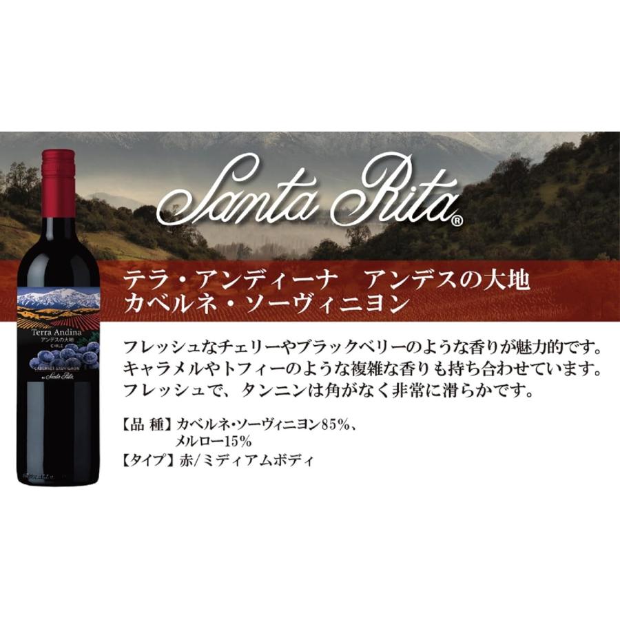 送料無料 テラ・アンディーナ アンデスの大地 カベルネ