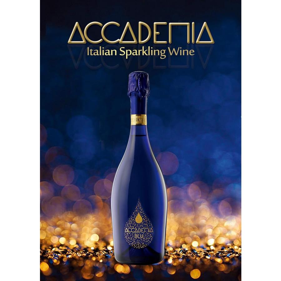 送料無料 BOTTEGA ボッテガ アカデミア 750ml×12本