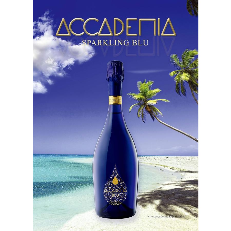 送料無料 BOTTEGA ボッテガ アカデミア 750ml×12本