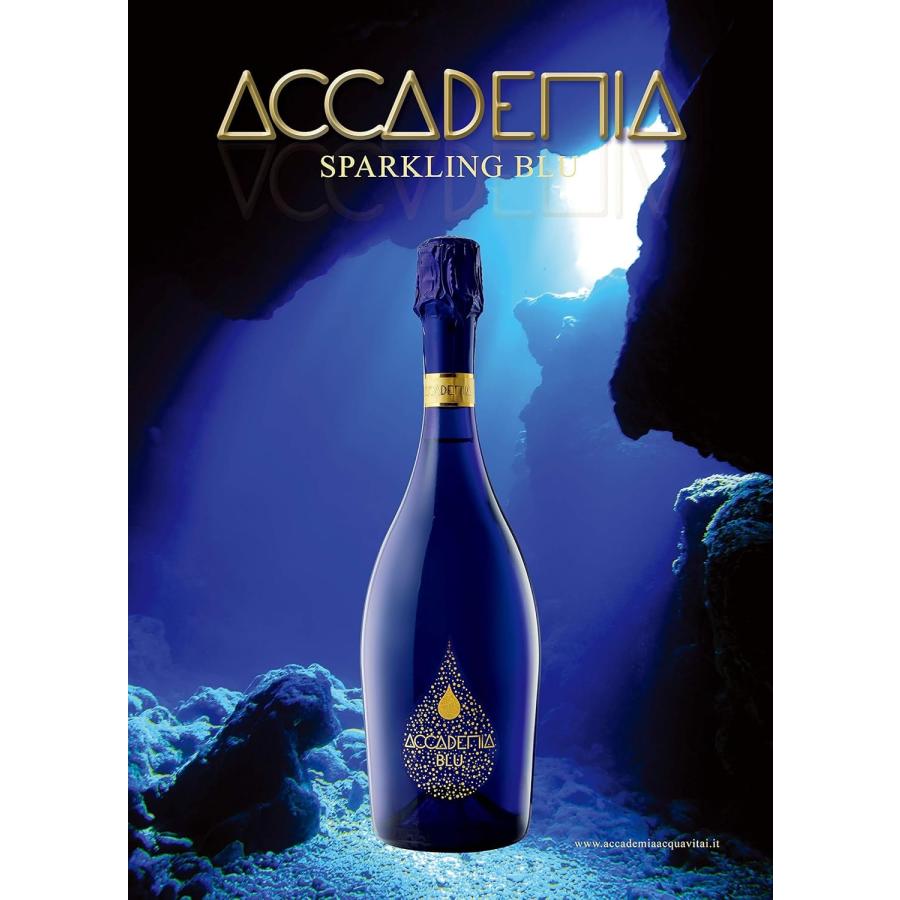 送料無料 BOTTEGA ボッテガ アカデミア 750ml×12本