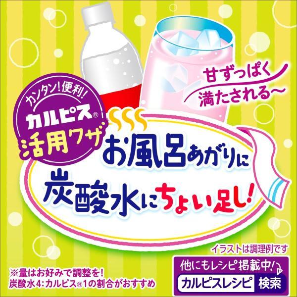 カルピス 送料無料 アサヒ飲料 CALPIS 完熟巨峰 希釈用 プラスチック