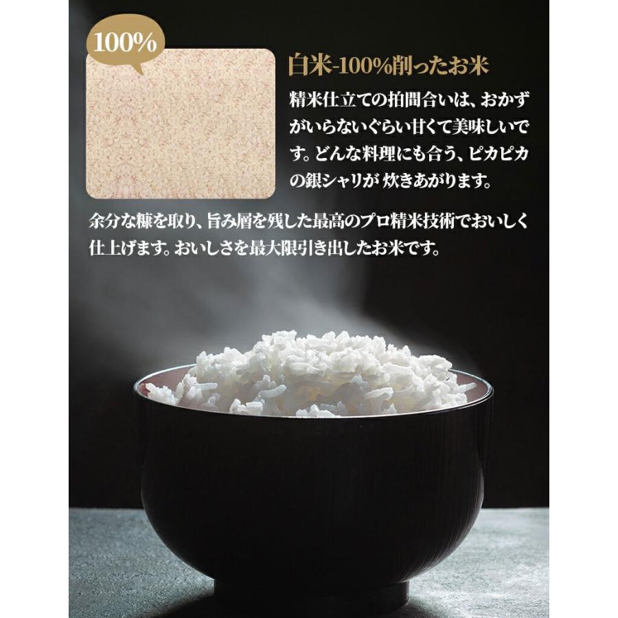 コシヒカリ 送料無料＆精米無料 令和7年産 新米 富山県産 10kg 贈り物