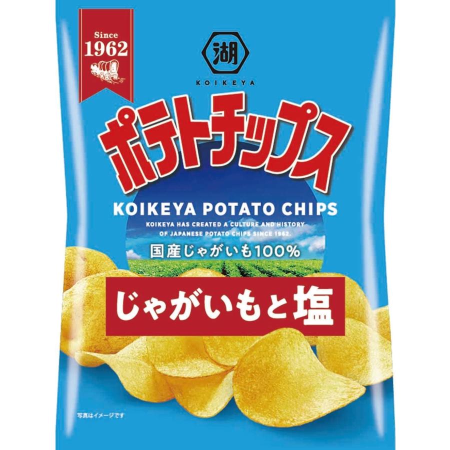 湖池屋（コイケヤ） 送料無料 ポテトチップス じゃがいもと塩味 55g×3