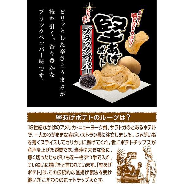 堅あげポテト 送料無料 カルビー ブラックペッパー 65g×24袋 : リカー