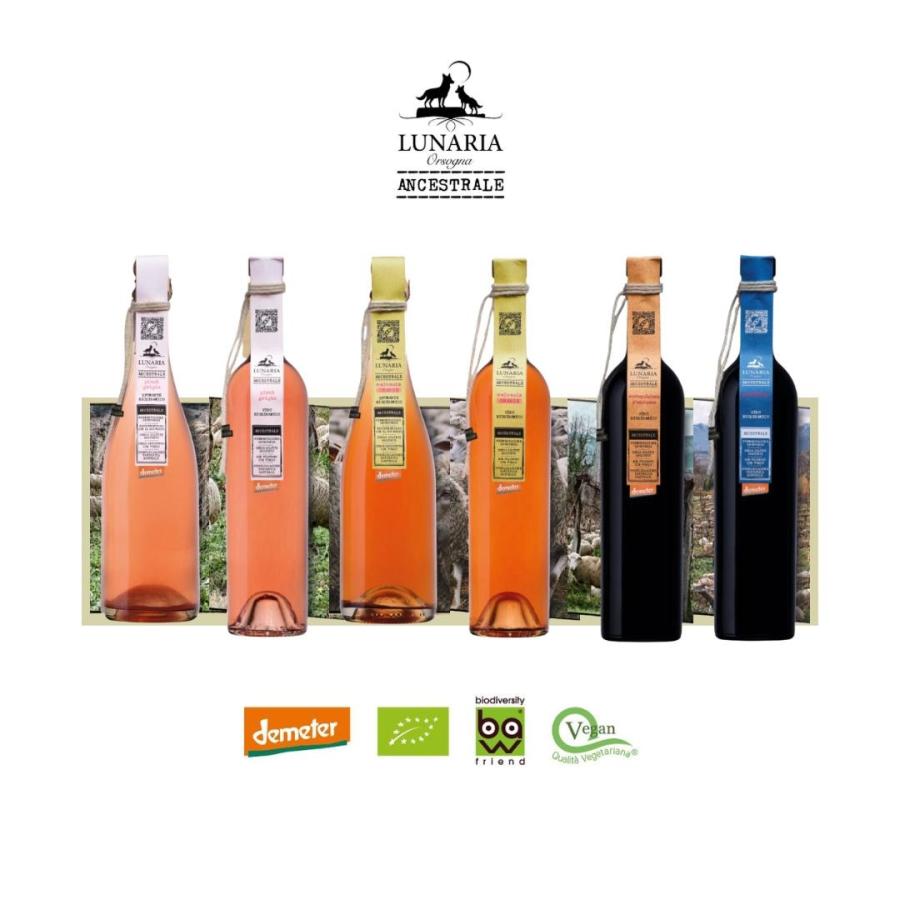 送料無料 選べるワイン 自然派 ワイン セット 選べる ルナリア 6本