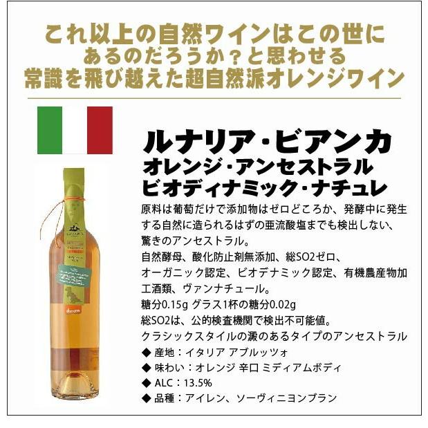 ☆7/25~7/26限定P15%☆送料無料 選べるワイン 自然派 ワイン セット