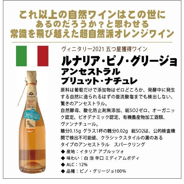☆7/25~7/26限定P15%☆送料無料 選べるワイン 自然派 ワイン セット