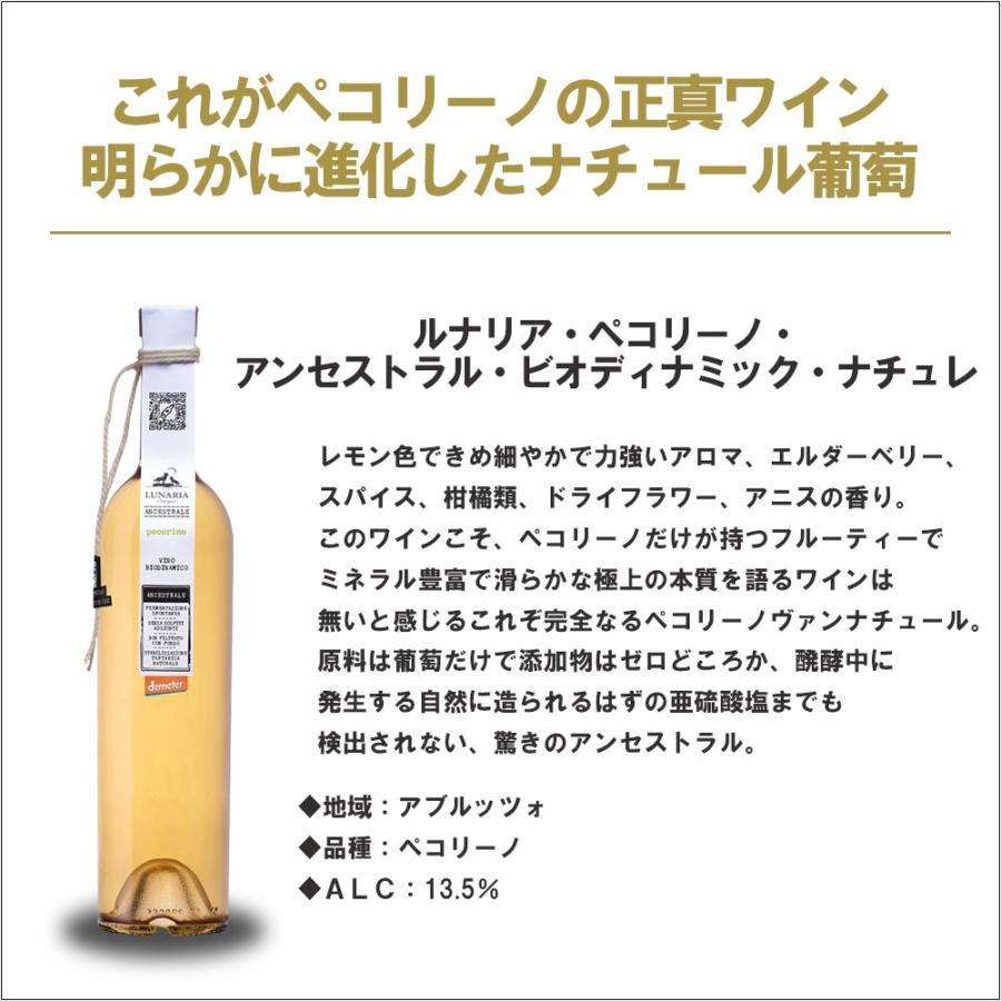 ☆7/25~7/26限定P15%☆送料無料 選べるワイン 自然派 ワイン セット