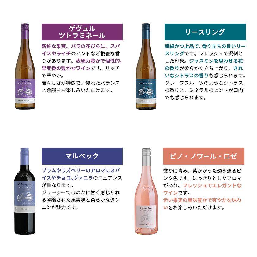 Cono Sur（コノスル） 送料無料 ワイン ワインセット ビシクレタ