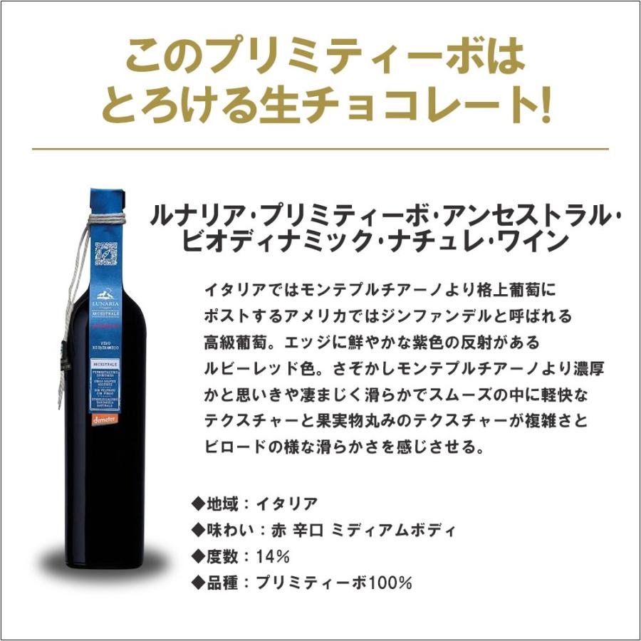 送料無料 ワイン セット オーガニック 自然派 ナチュラルワイン 究極の