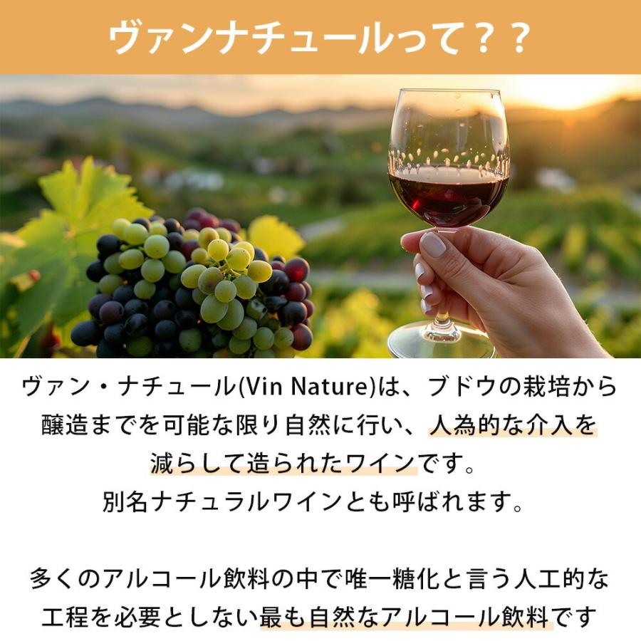 送料無料 ワイン セット オーガニック 自然派 ナチュラルワイン 究極の