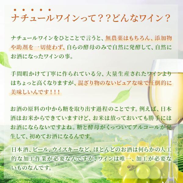 あすつく 送料無料 ナチュール オレンジワインセット 750ml×6本