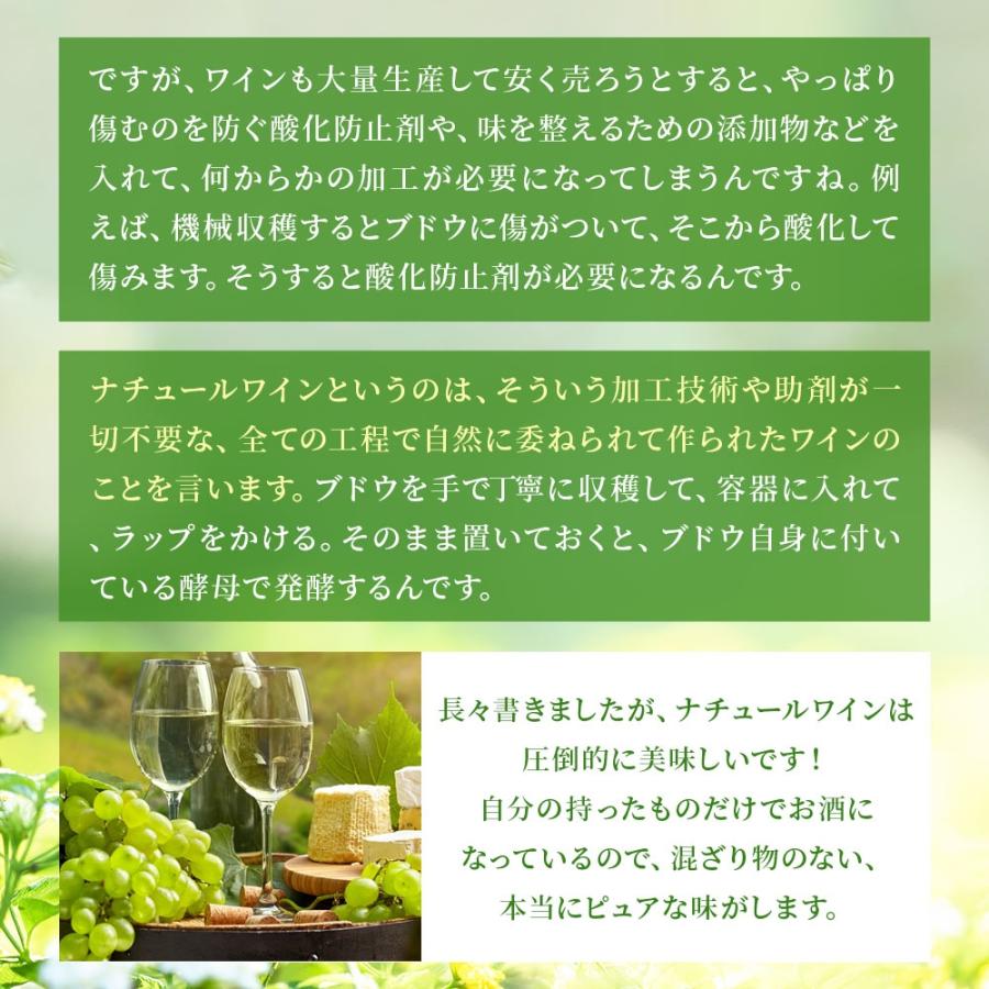 あすつく 送料無料 ナチュール オレンジワインセット 750ml×6本