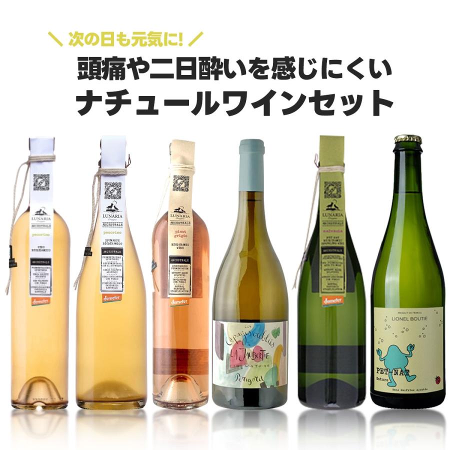 ナチュールワイン 6本セット 送料無料 頭痛や二日酔いを感じない ナチュールワイン6本セット[750ml
