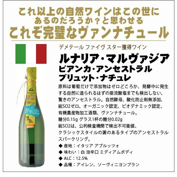 送料無料 頭痛や二日酔いを感じにくい ナチュールワイン6本セット