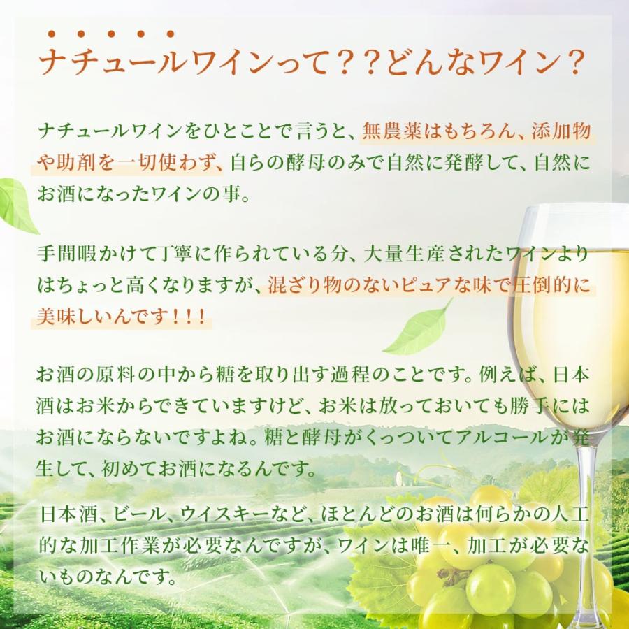 送料無料 自然派 ナチュール オレンジ・ロゼワインセット 第1弾 [750ml