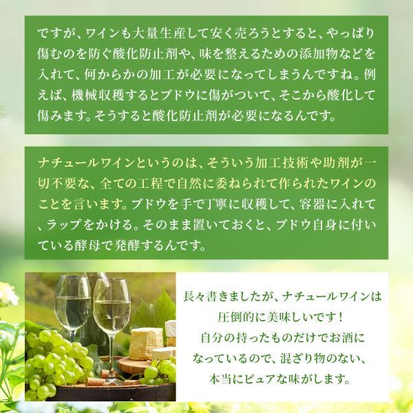 あすつく 送料無料 キング オブ ナチュールワインセット [750ml×6本