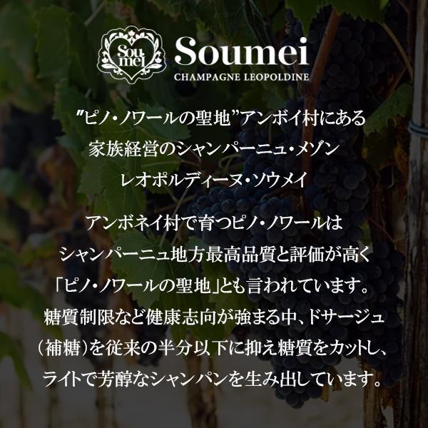 ソウメイ ブルー シャンパン ブリュット ナチュール NV 正規品 750ml 箱なしの画像