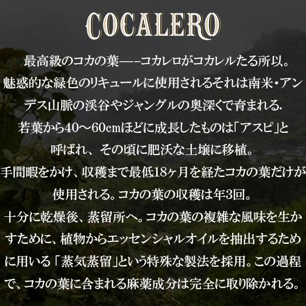 ボムグラス 6個セット 】 コカレロ 700ml 箱なし 29度 コカボム : 洋酒