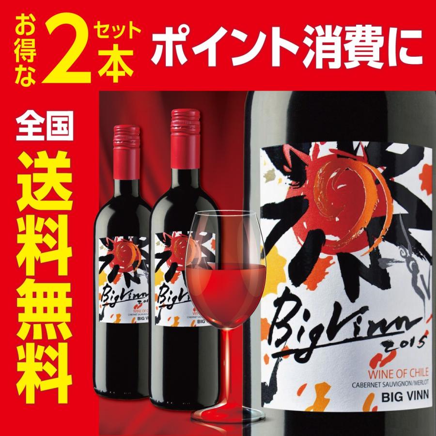 【チリワイン】ビッグ・バン レッド 750ml 2本セット 全国送料無料 ポイント消費 ポイント消化に ギフト発送、ラッピング不可｜liquorgto