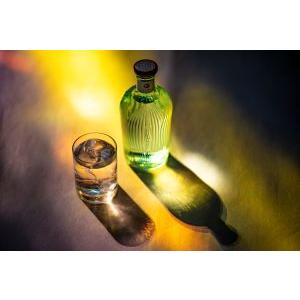 五島の椿 GOTOGIN the origin ゴトジン 47度 500ml ギフト 五島の椿 GOTOGIN the origin ゴトジン 47度 500ml ギフト