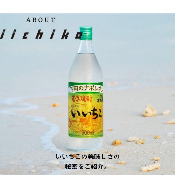 「5/5 +4％ 5のつく日」 いいちこ 焼酎 25度 1.8L 1800ml パック 2ケース 12本 麦焼酎 三和酒類 送料無料_2