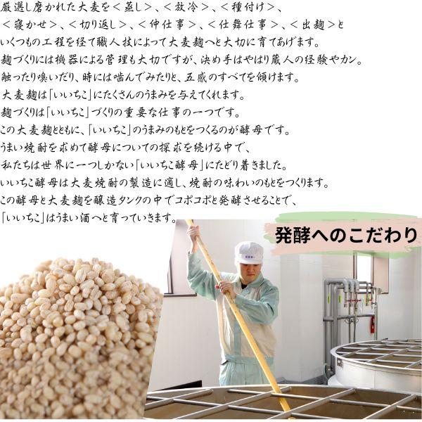 「5/5 +4％ 5のつく日」 いいちこ 焼酎 25度 1.8L 1800ml パック 2ケース 12本 麦焼酎 三和酒類 送料無料_4