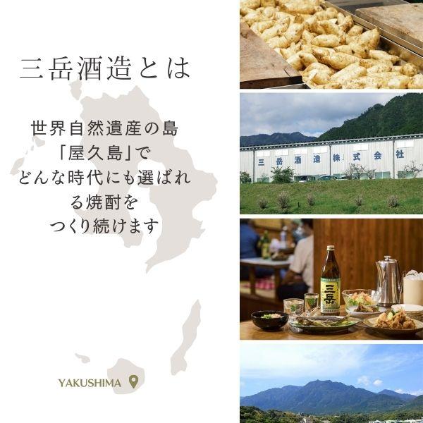 三岳 25度 900ml 2本 芋焼酎 屋久島 三岳酒造 本格焼酎 鹿児島 送料