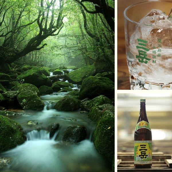三岳 25度 900ml 2本 芋焼酎 屋久島 三岳酒造 本格焼酎 鹿児島 送料