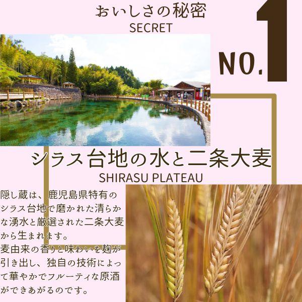 「5/5 +4％ 5のつく日」 隠し蔵 焼酎 25度 1.8L パック 2ケース 12本 1800ml 麦焼酎 濱田酒造 送料無料 (佐川急便限定)_2