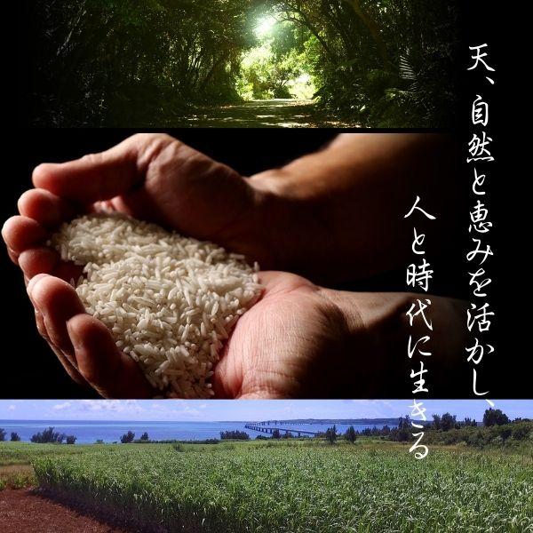 9/12 爆買ウルトラSALE」 琉球王朝 泡盛 30度 1.8L 瓶 1ケース 6本 箱