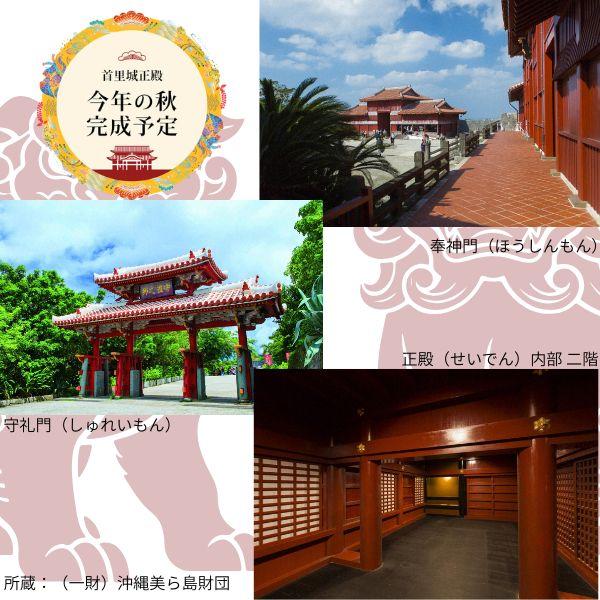 首里城復興記念限定ボトル 30度 720ml 瓶 6本 琉球泡盛 沖縄県酒造共同