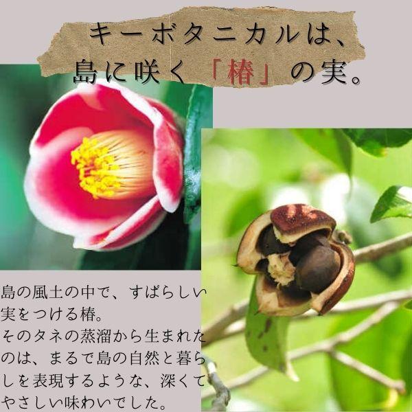 ゴトジン 3本セット GOTOGIN 47度 500ml 五島つばき蒸溜所 GOTOGIN the origin【ギフトbox入り】｜GRAND・FOOD・HALL！ Official