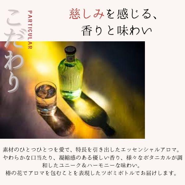 五島の椿 GOTOGIN the origin ゴトジン 47度 500ml 五島つばき蒸溜所