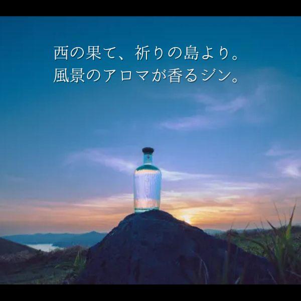 五島の椿 GOTOGIN the origin ゴトジン 47度 500ml ギフトボックス入り