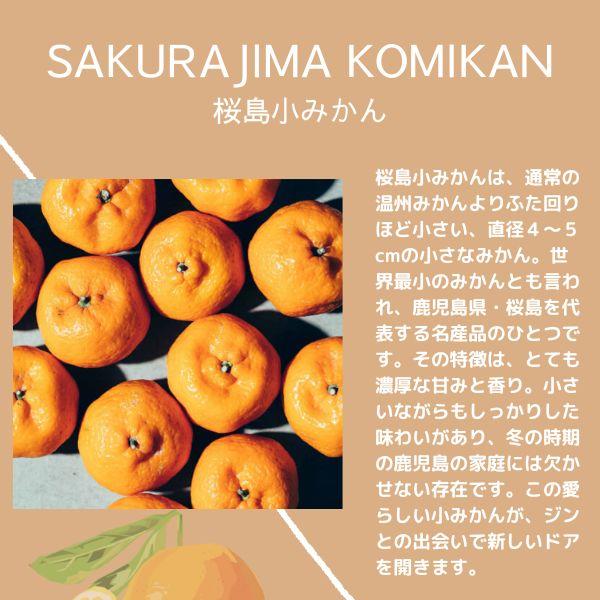 小正醸造 コマサジン 桜島小みかん 45度 500ml 1本 KOMASA GIN 和柑橘