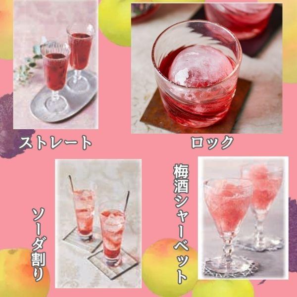 合同酒精 しそ梅酒 鍛高譚 TAN TAKA TAN SHISO 梅酒 12度 900ml パック